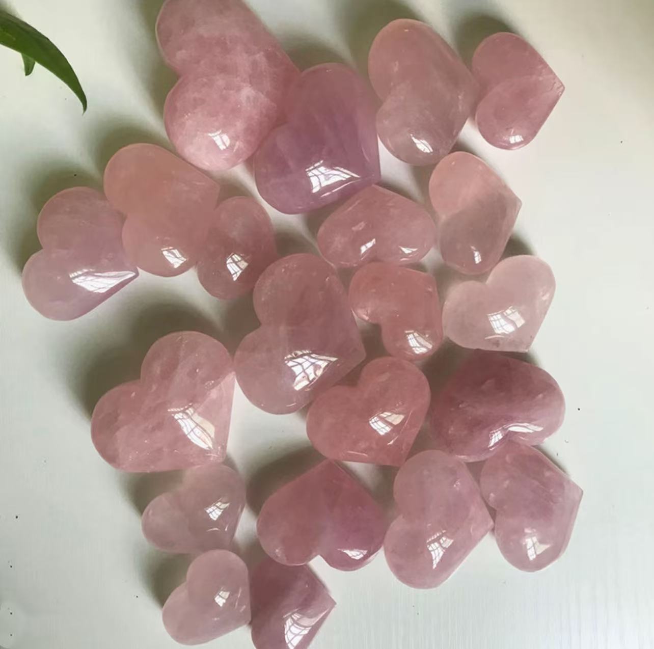 Heart of Venus