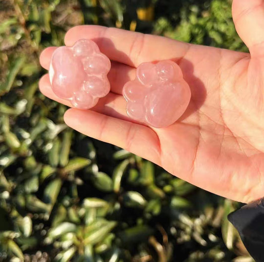 Rose Paw Blessing