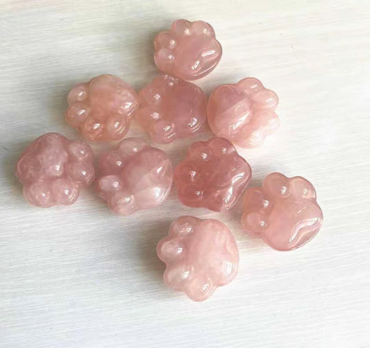 Rose Paw Blessing